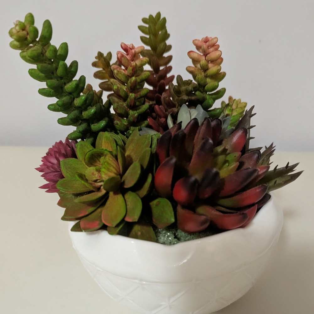 Artificial Succulent Arrangement in White Planter